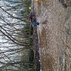 20250323_105858.jpg