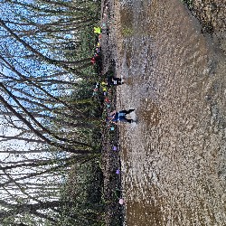 20250323_110409.jpg