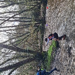 20250323_110708.jpg