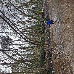 20250323_112603.jpg