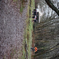 DSC_0009.JPG