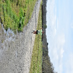 DSC_0025.JPG
