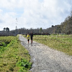 DSC_0029.JPG
