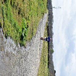 DSC_0035.JPG