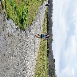 DSC_0036.JPG