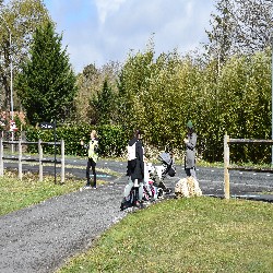 DSC_0187.JPG