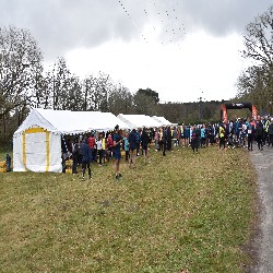 DSC_0203.JPG