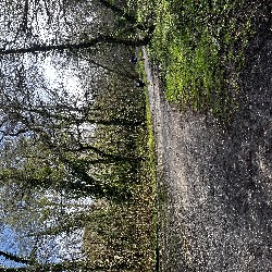IMG_1848.JPG