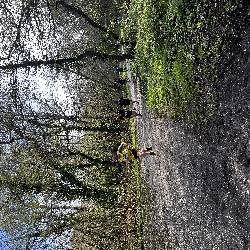 IMG_1855.JPG