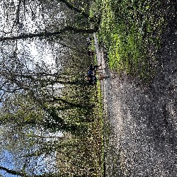 IMG_1863.JPG