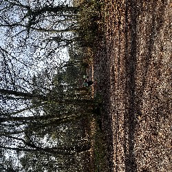 IMG_1870.JPG