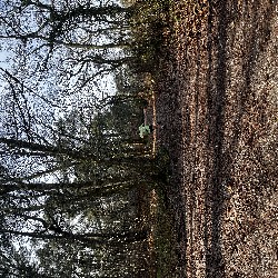 IMG_1871.JPG