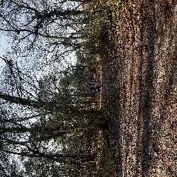 IMG_1872.JPG