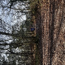 IMG_1873.JPG