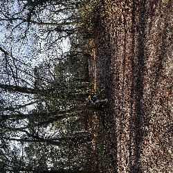 IMG_1875.JPG