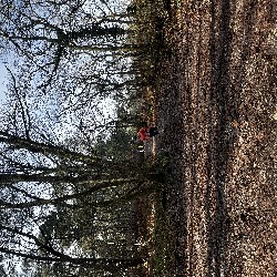 IMG_1876.JPG