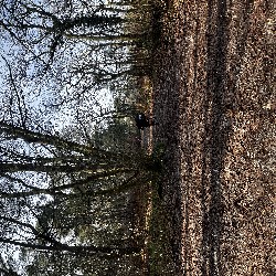 IMG_1879.JPG