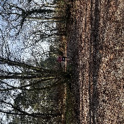 IMG_1881.JPG
