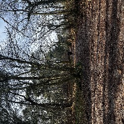 IMG_1883.JPG