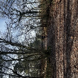 IMG_1887.JPG