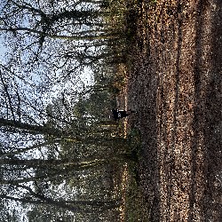 IMG_1890.JPG