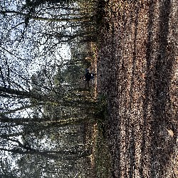 IMG_1891.JPG