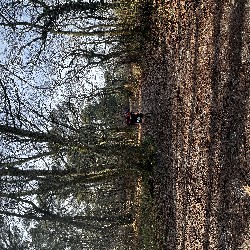 IMG_1893.JPG