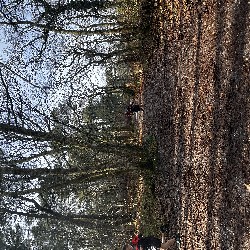 IMG_1894.JPG