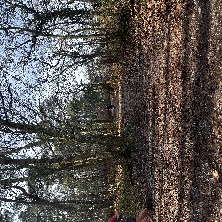 IMG_1895.JPG
