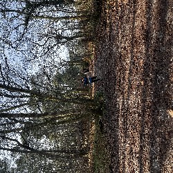IMG_1897.JPG