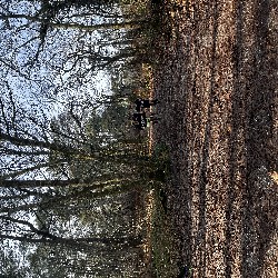 IMG_1898.JPG