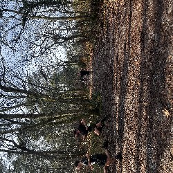 IMG_1899.JPG