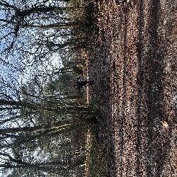 IMG_1901.JPG