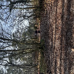 IMG_1902.JPG
