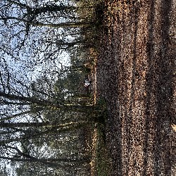 IMG_1903.JPG