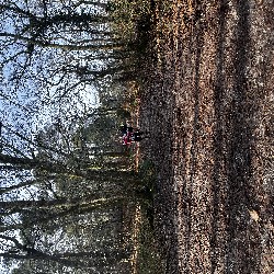 IMG_1904.JPG