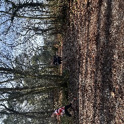 IMG_1905.JPG