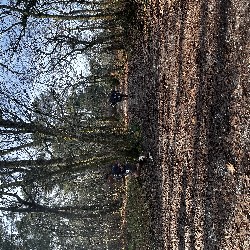 IMG_1906.JPG