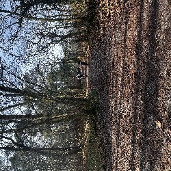 IMG_1907.JPG