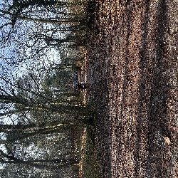 IMG_1909.JPG