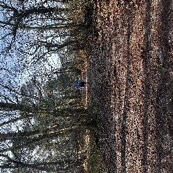 IMG_1910.JPG