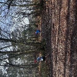 IMG_1913.JPG