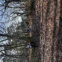 IMG_1919.JPG