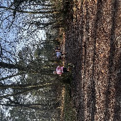 IMG_1921.JPG