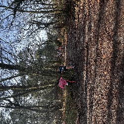 IMG_1922.JPG