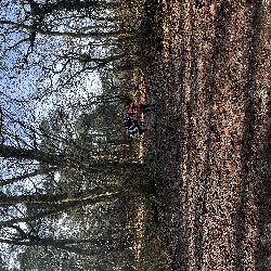 IMG_1923.JPG