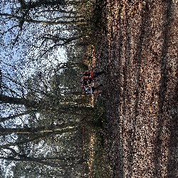 IMG_1924.JPG