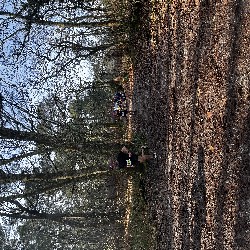 IMG_1925.JPG