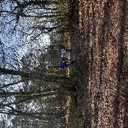 IMG_1927.JPG
