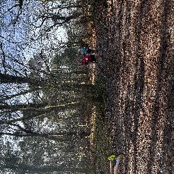 IMG_1929.JPG